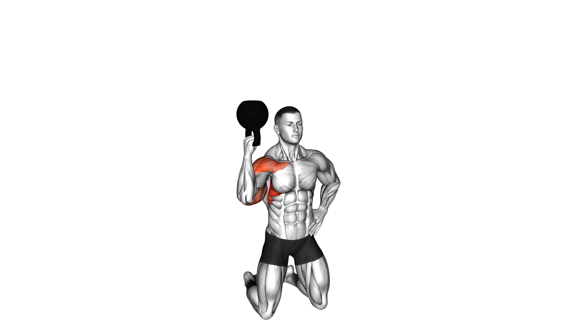 Kettlebell Kneeling One Arm Bottoms Up Press exercise demonstration