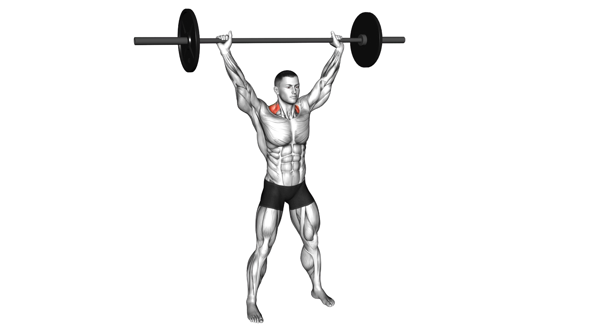 Barbell Overhead Shrug exercise demonstration