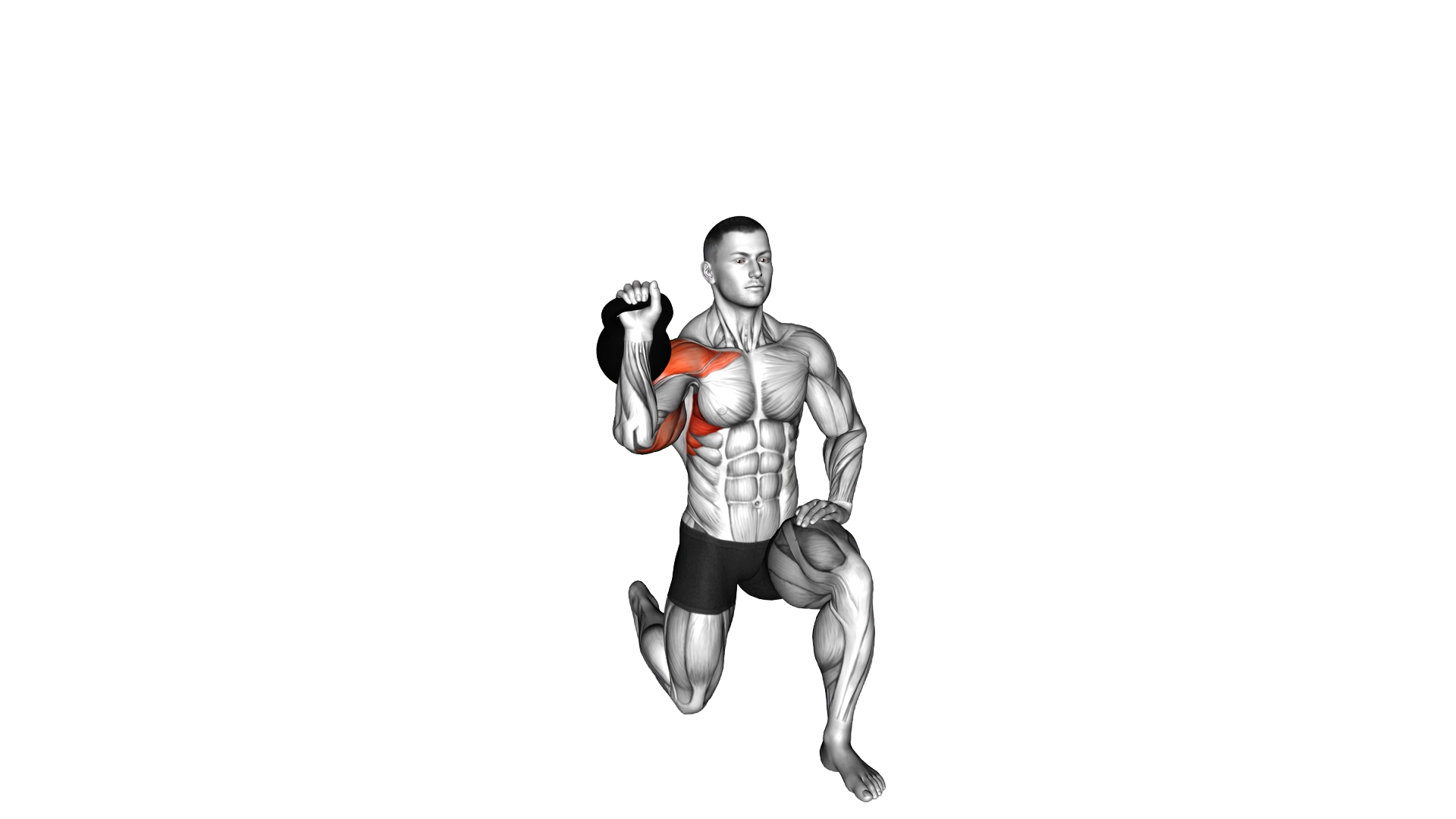 Kettlebell Half Kneeling Shoulder Press exercise demonstration