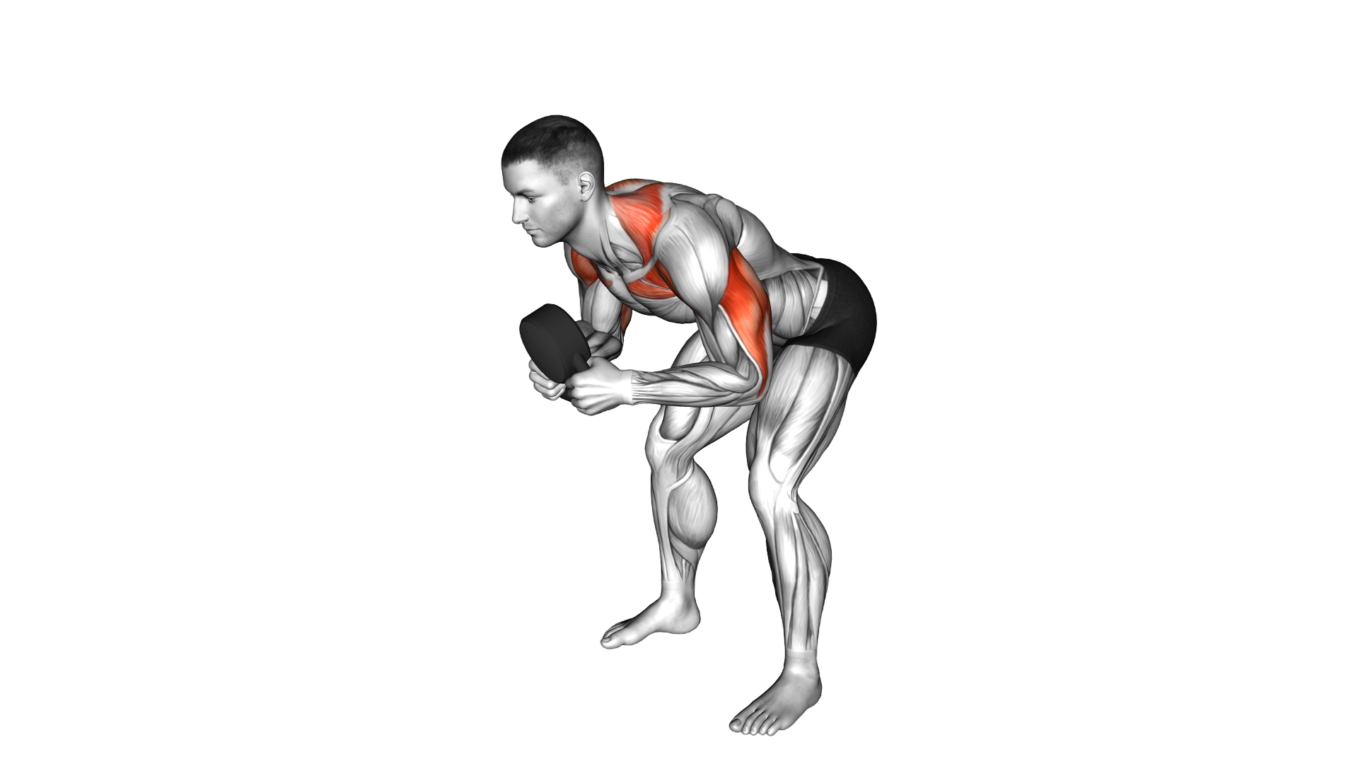Kettlebell Angled Press exercise demonstration