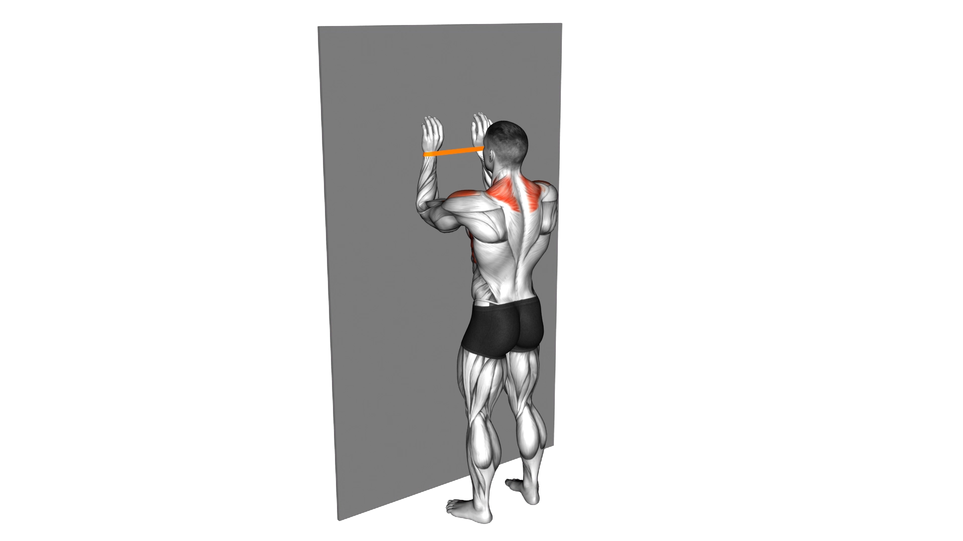 Resistance Band Spider Crawls exercise demonstration