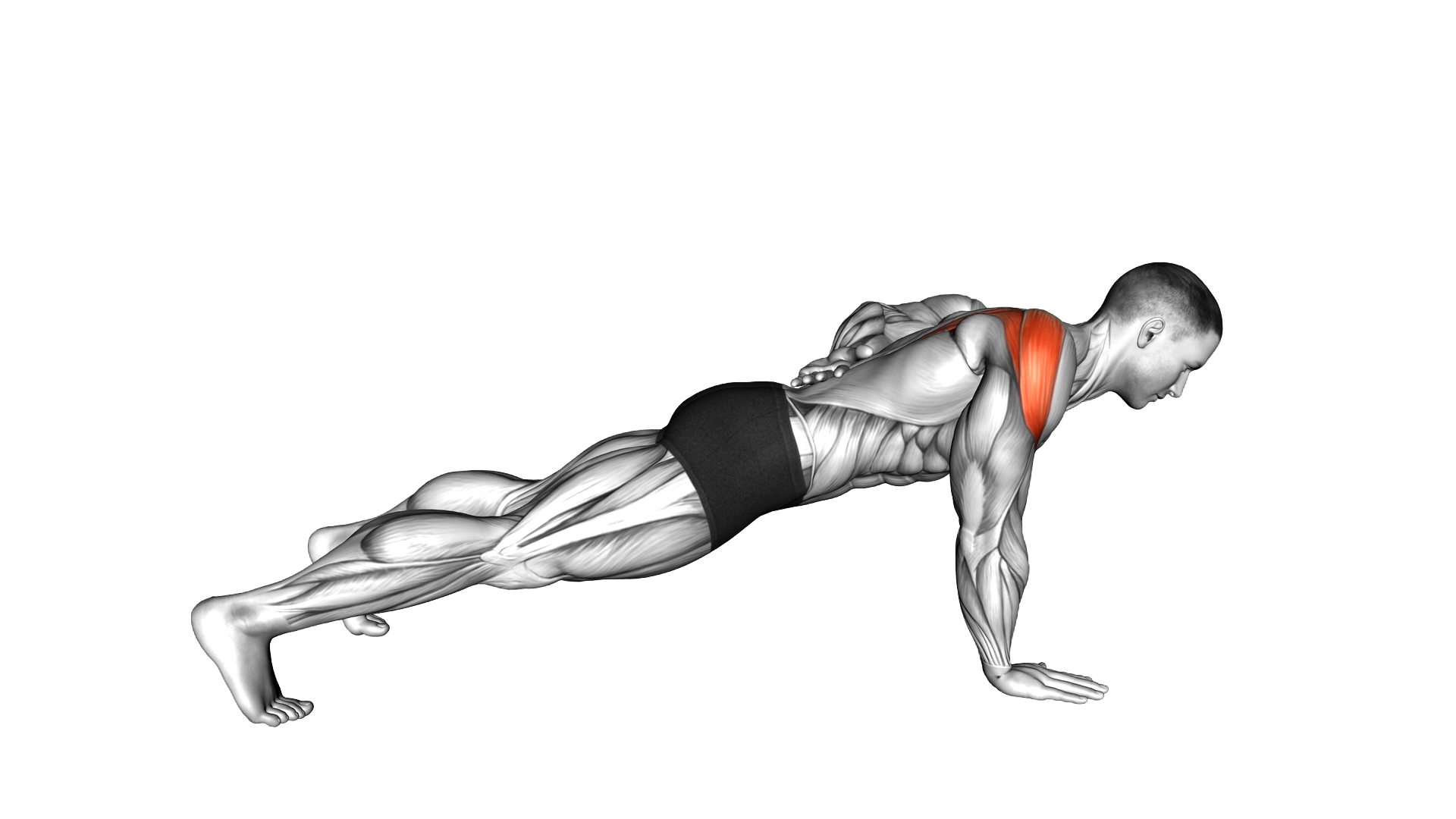 Single Arm Scapula Push up exercise demonstration