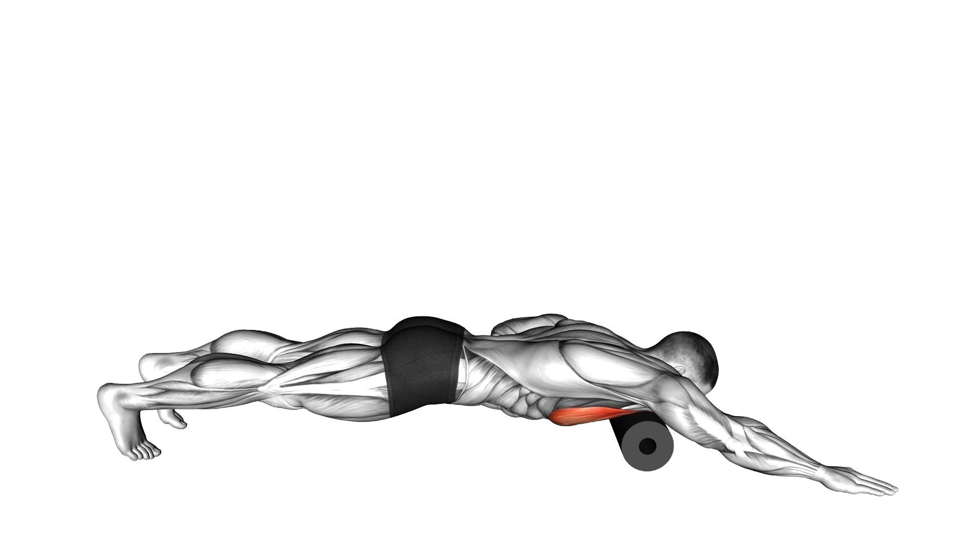 Roll Pec Foam Rolling exercise thumbnail