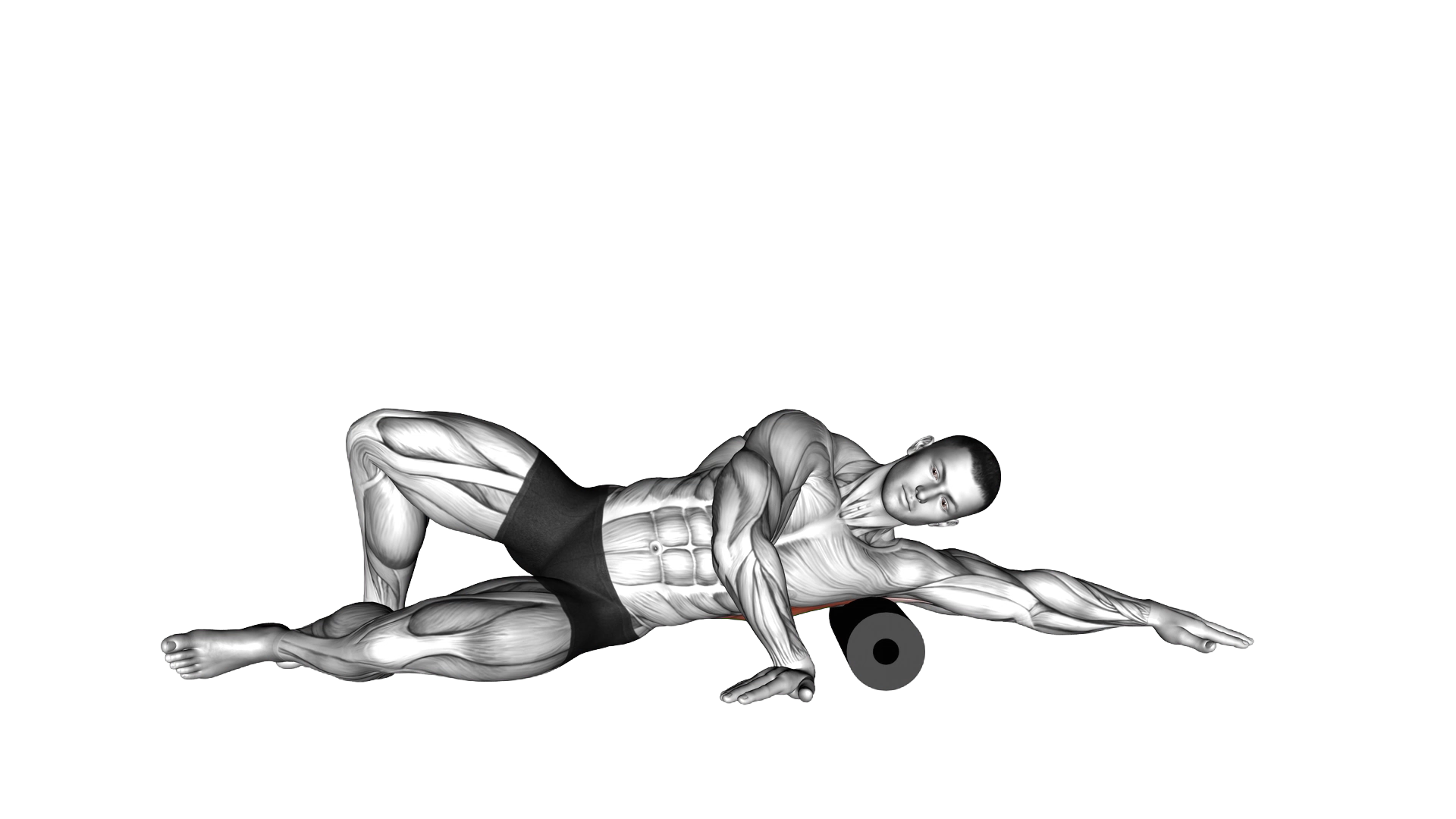 Roll Lat Foam Rolling exercise demonstration