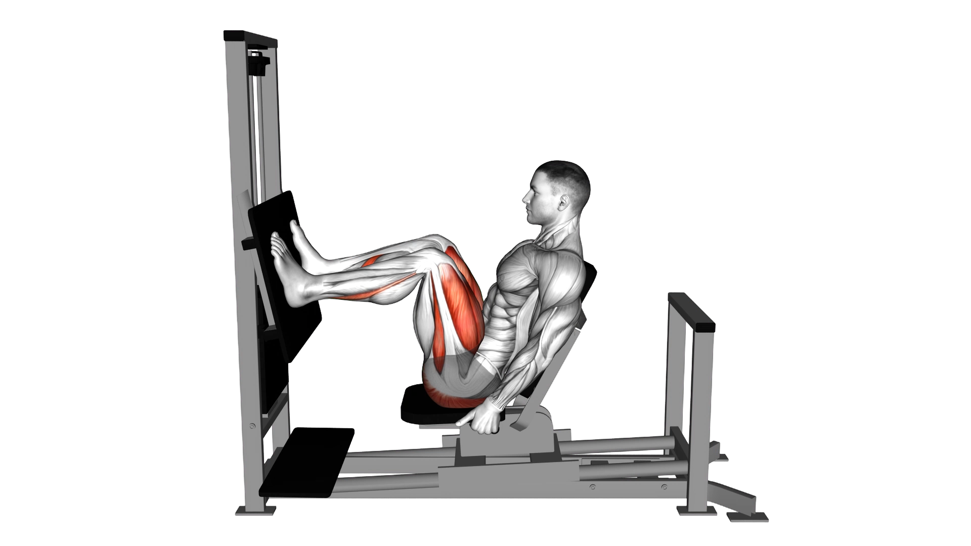 Lever Horizontal Leg Press exercise demonstration