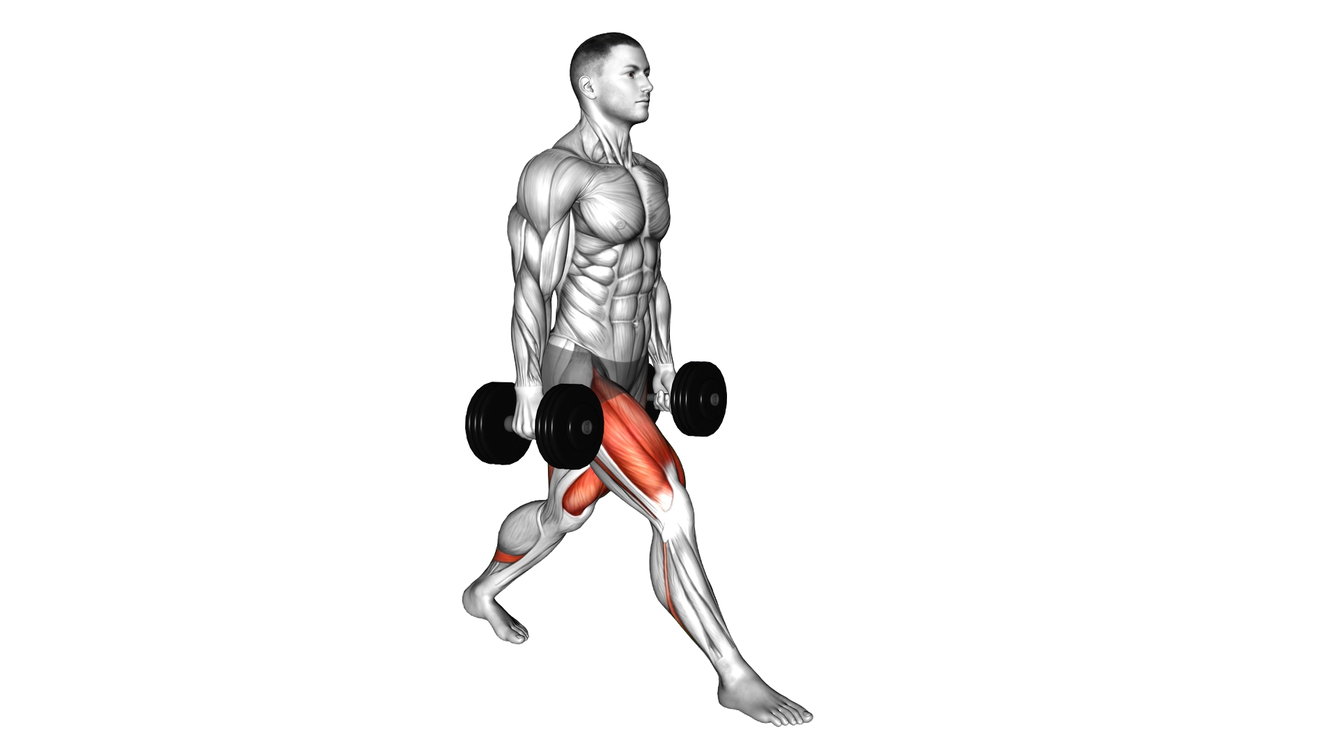 Dumbbell Split Squat exercise demonstration