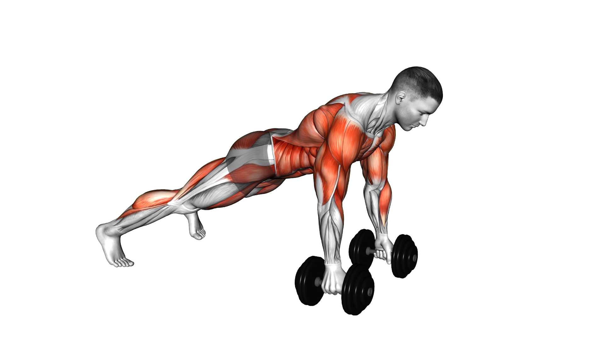 Push up Row exercise demonstration