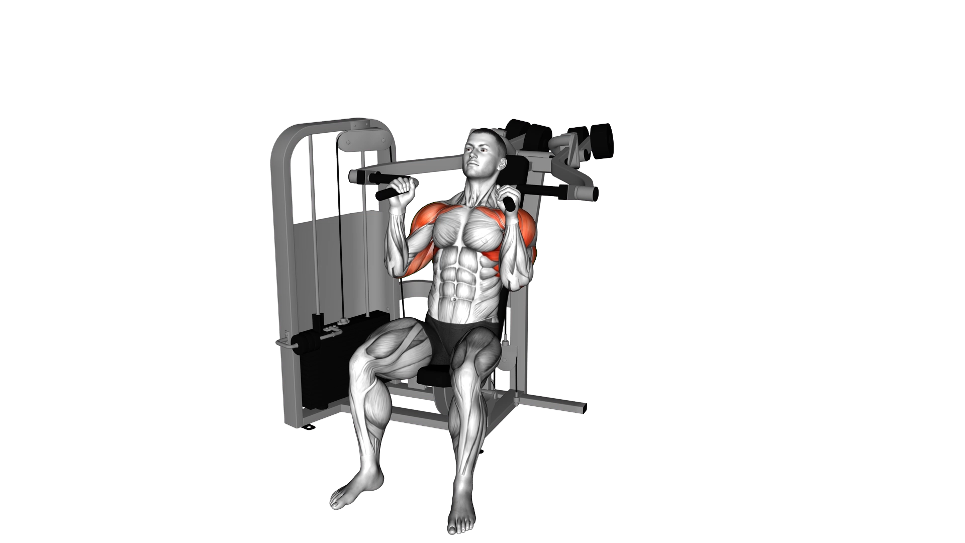 Lever Seated Hammer Grip Shoulder Press exercise demonstration