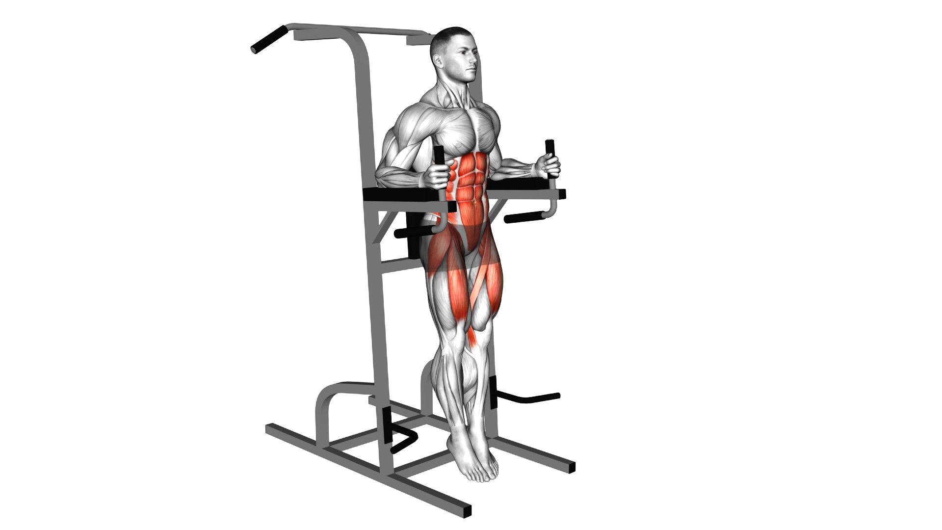 Captains Chair Straight Leg Raise exercise demonstration