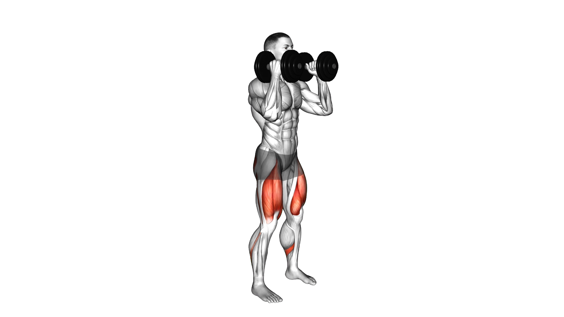 Dumbbell Front Squat exercise demonstration