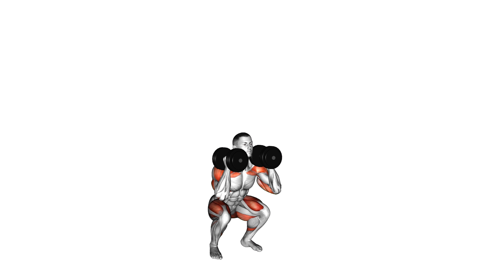 Dumbbell Thruster exercise demonstration