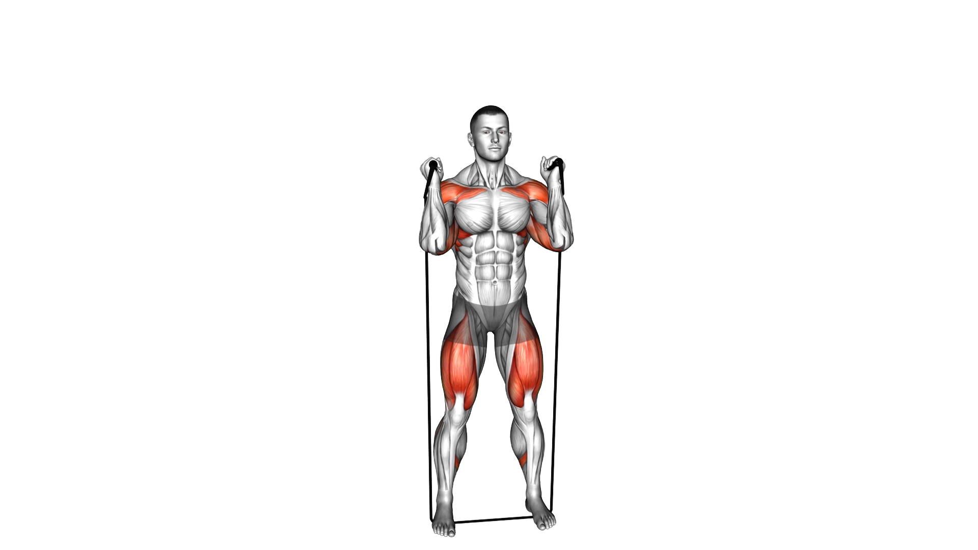 Band Thruster exercise demonstration