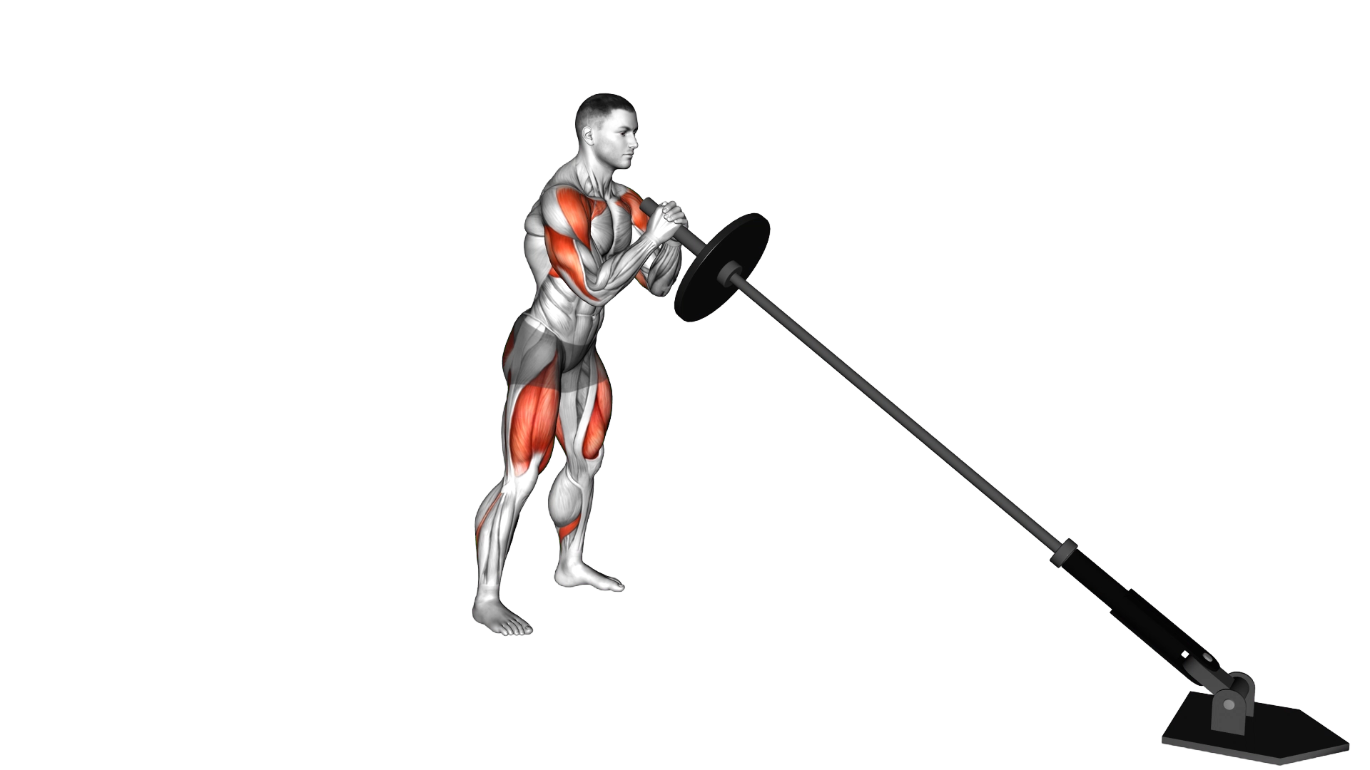 Landmine Squat and Press exercise demonstration