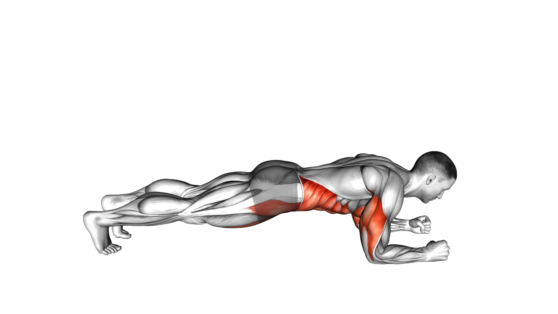 Elbow Up and Down Dynamic Plank exercise demonstration