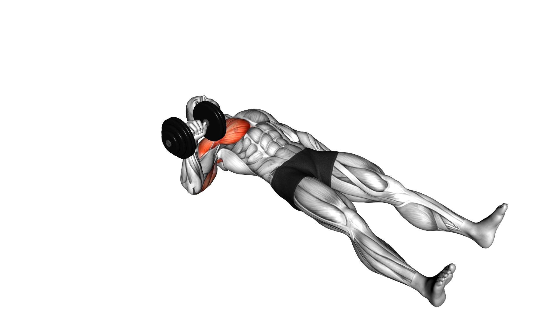 Dumbbell Alternating Floor Press exercise demonstration