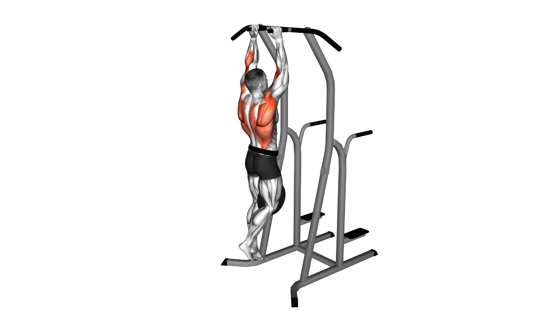 Weighted Hammer Grip Pull up on Dip Cage exercise thumbnail