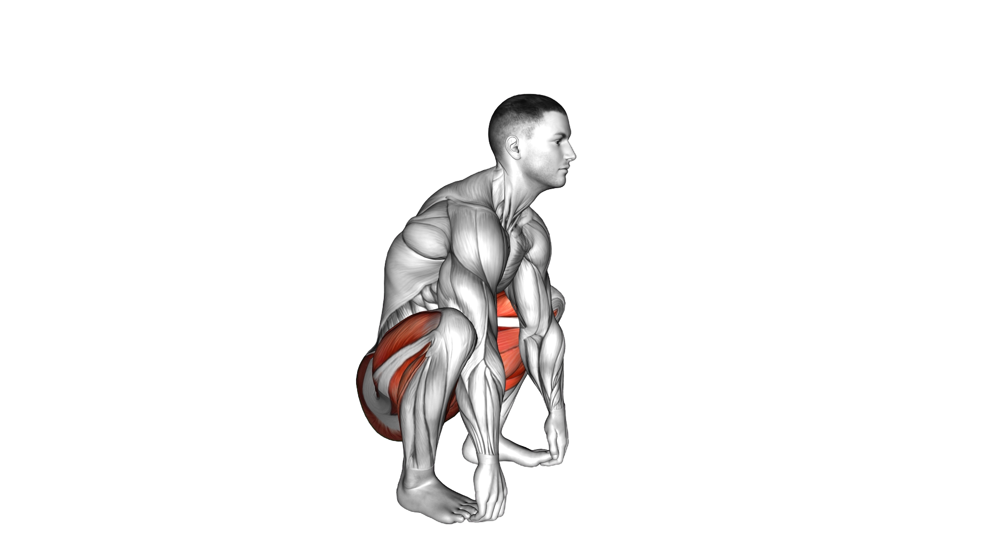 Squat mobility Complex exercise demonstration