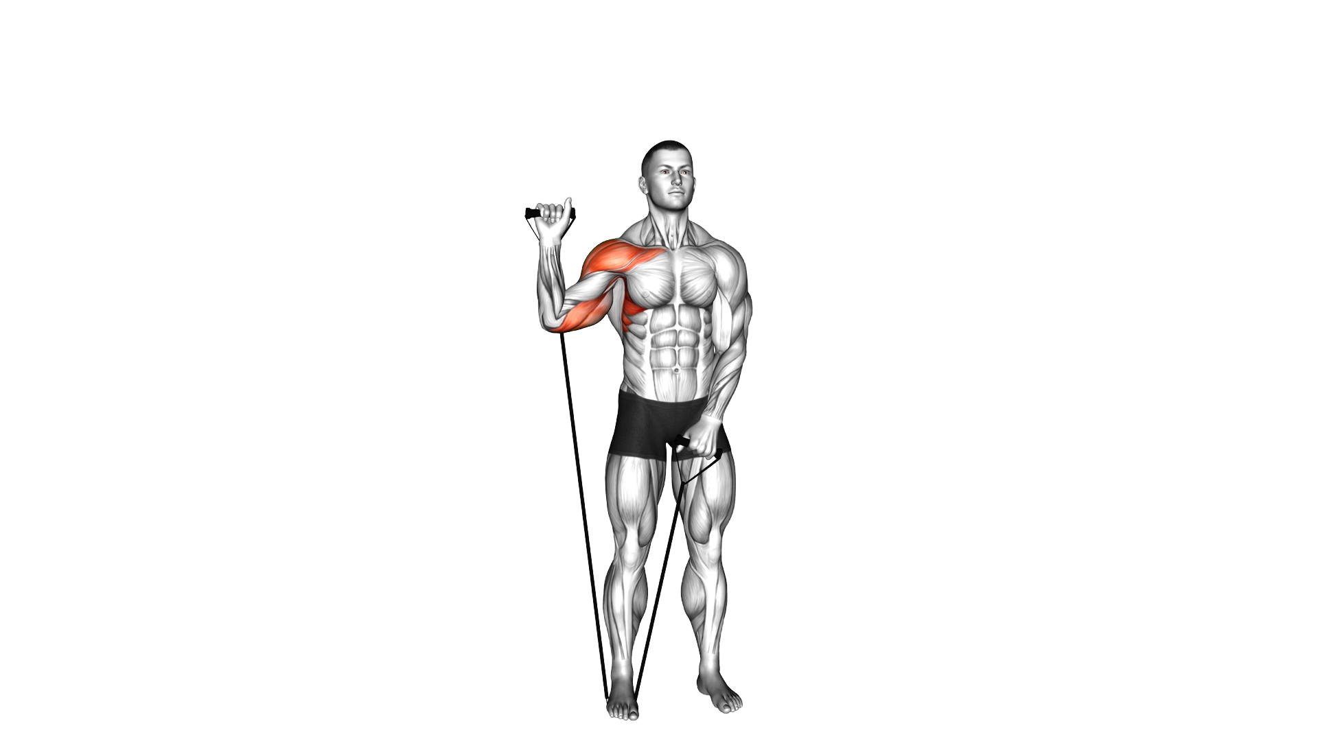 Band Single Arm Shoulder Press exercise demonstration