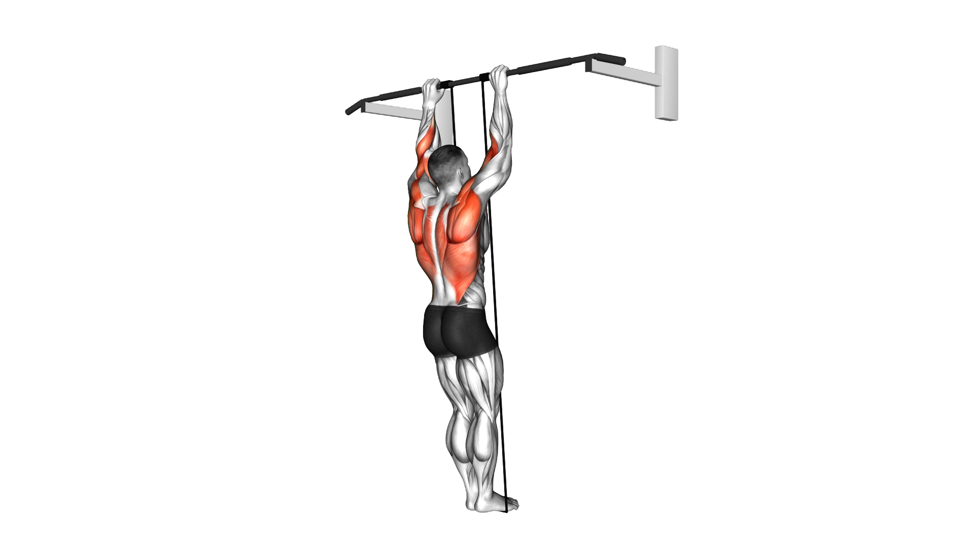 Band Assisted Pull Up exercise demonstration