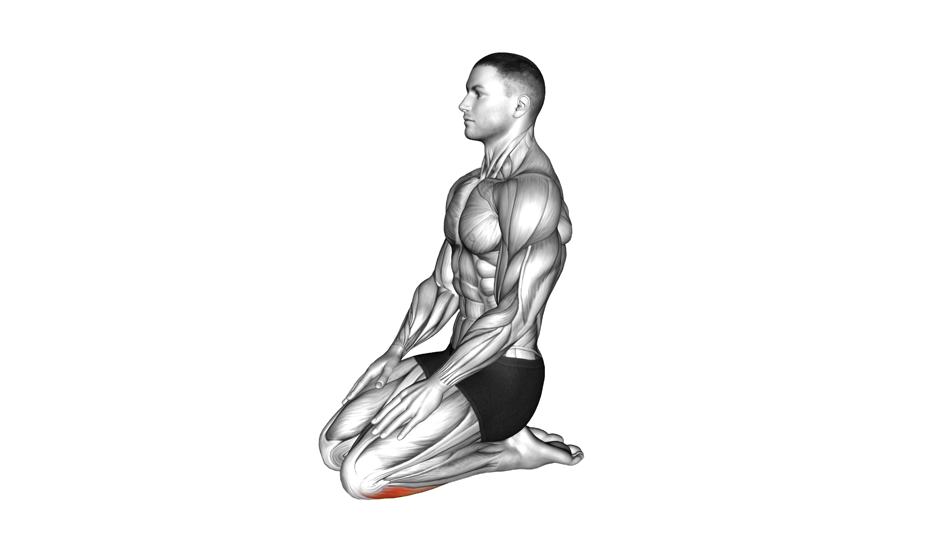Seated Ankle Stretch exercise demonstration