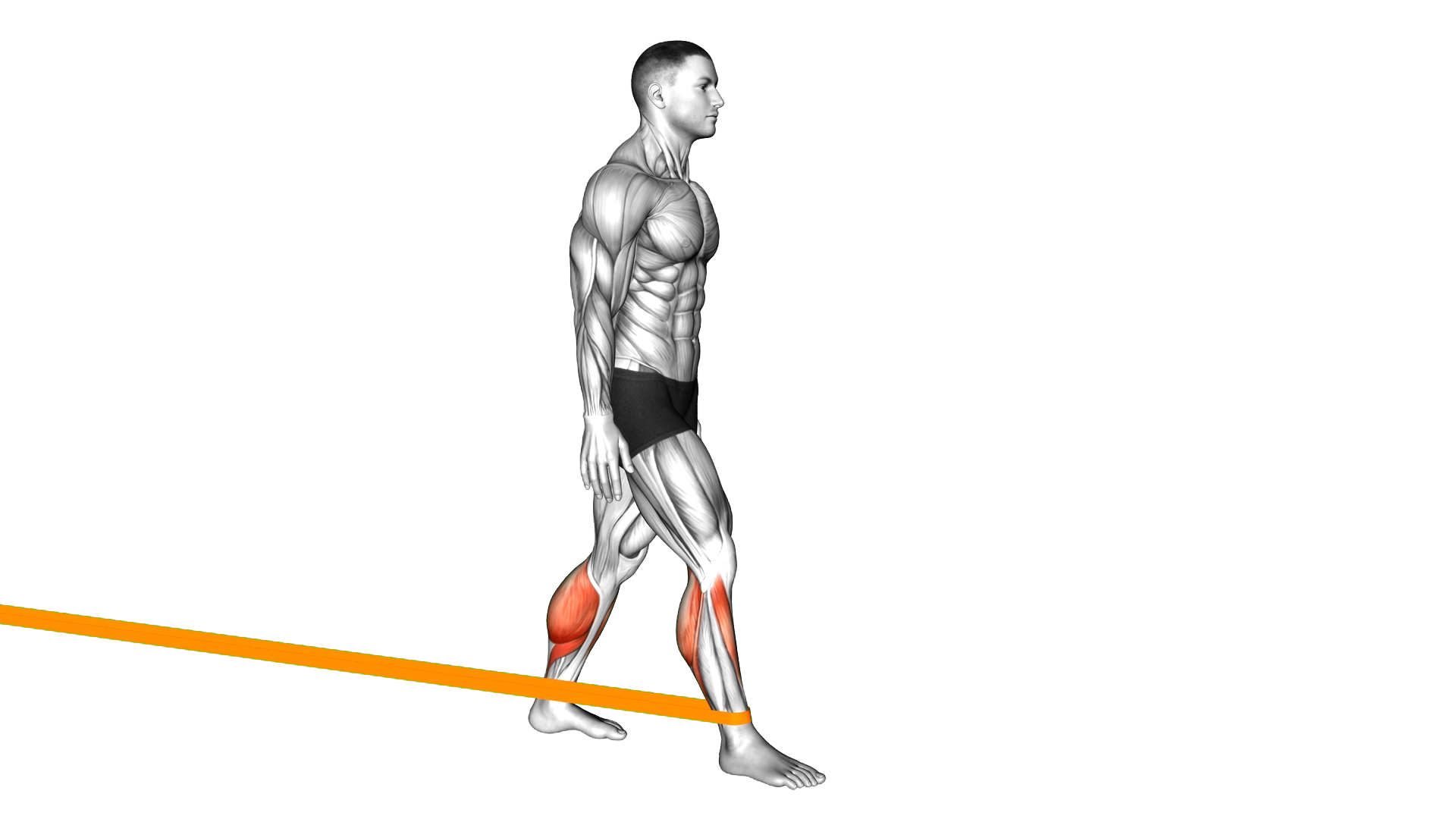 Resistance Band Standing Back Achilles Stretch exercise demonstration