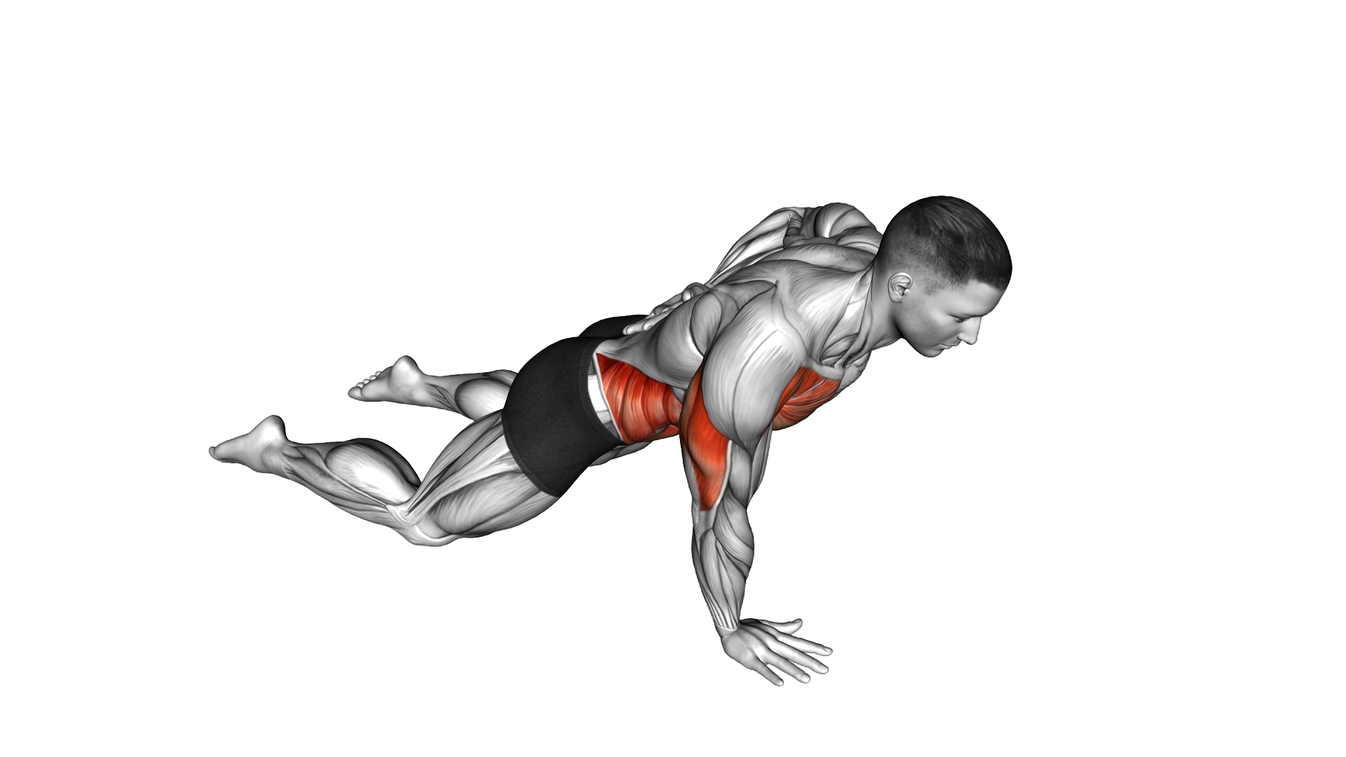 Single Arm Push up (on knees) exercise demonstration