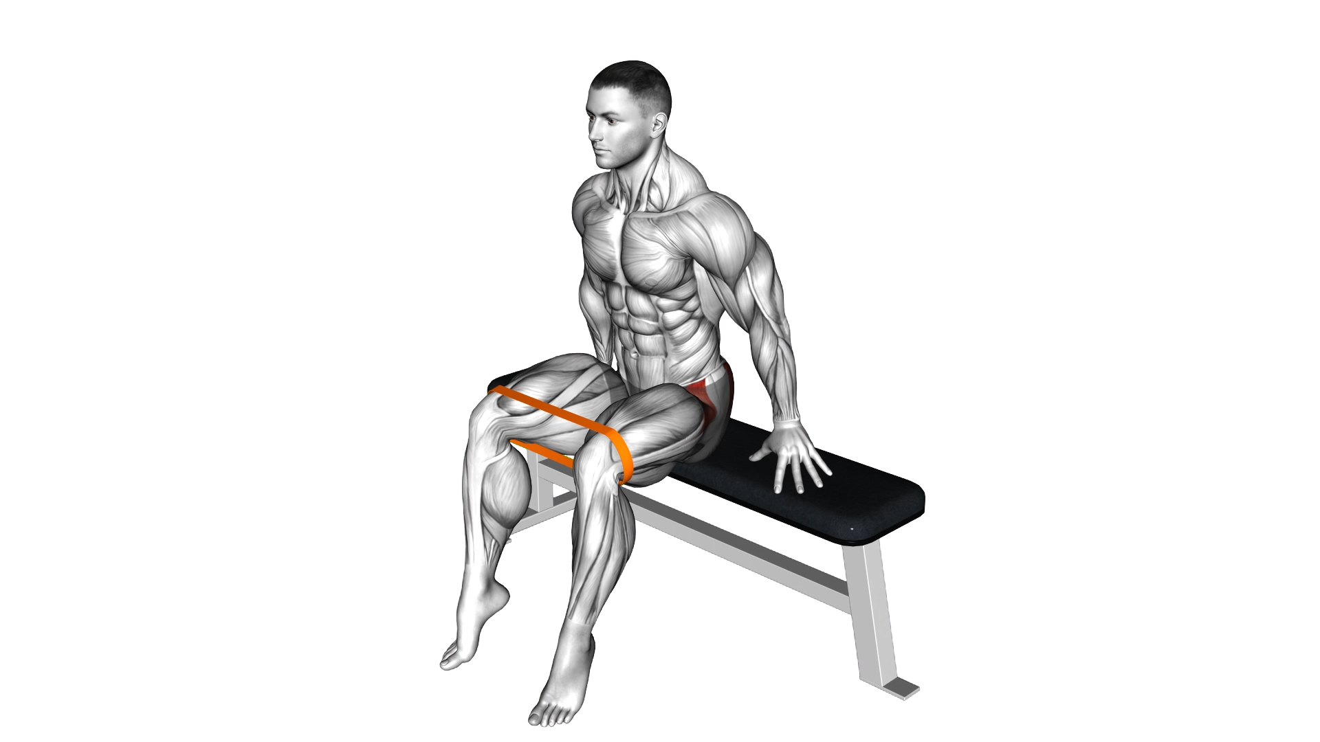 Resistance Band Seated Hip Abduction exercise demonstration