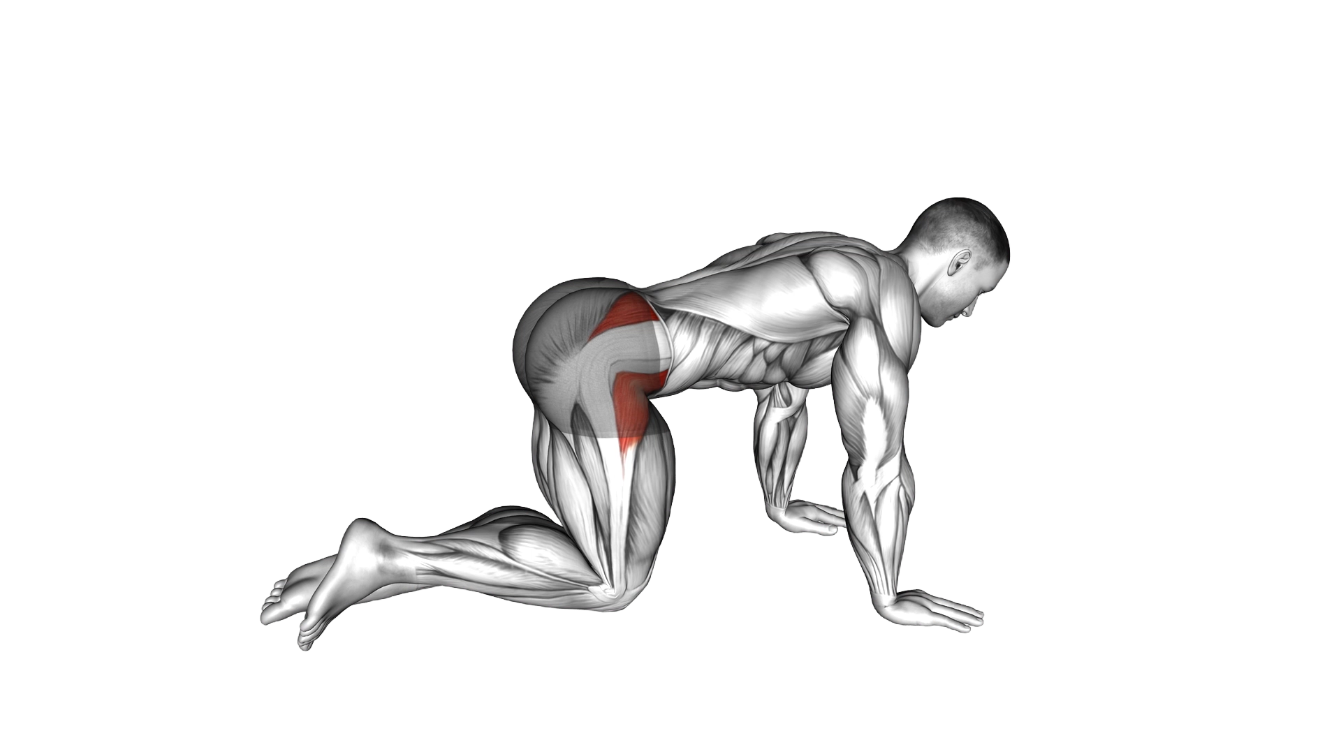 Bent Leg Side Kick (kneeling) exercise demonstration