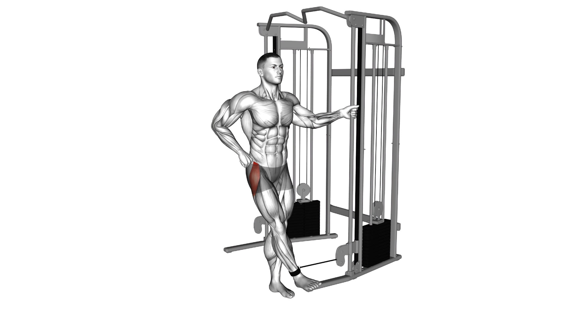 Cable hip abduction exercise demonstration