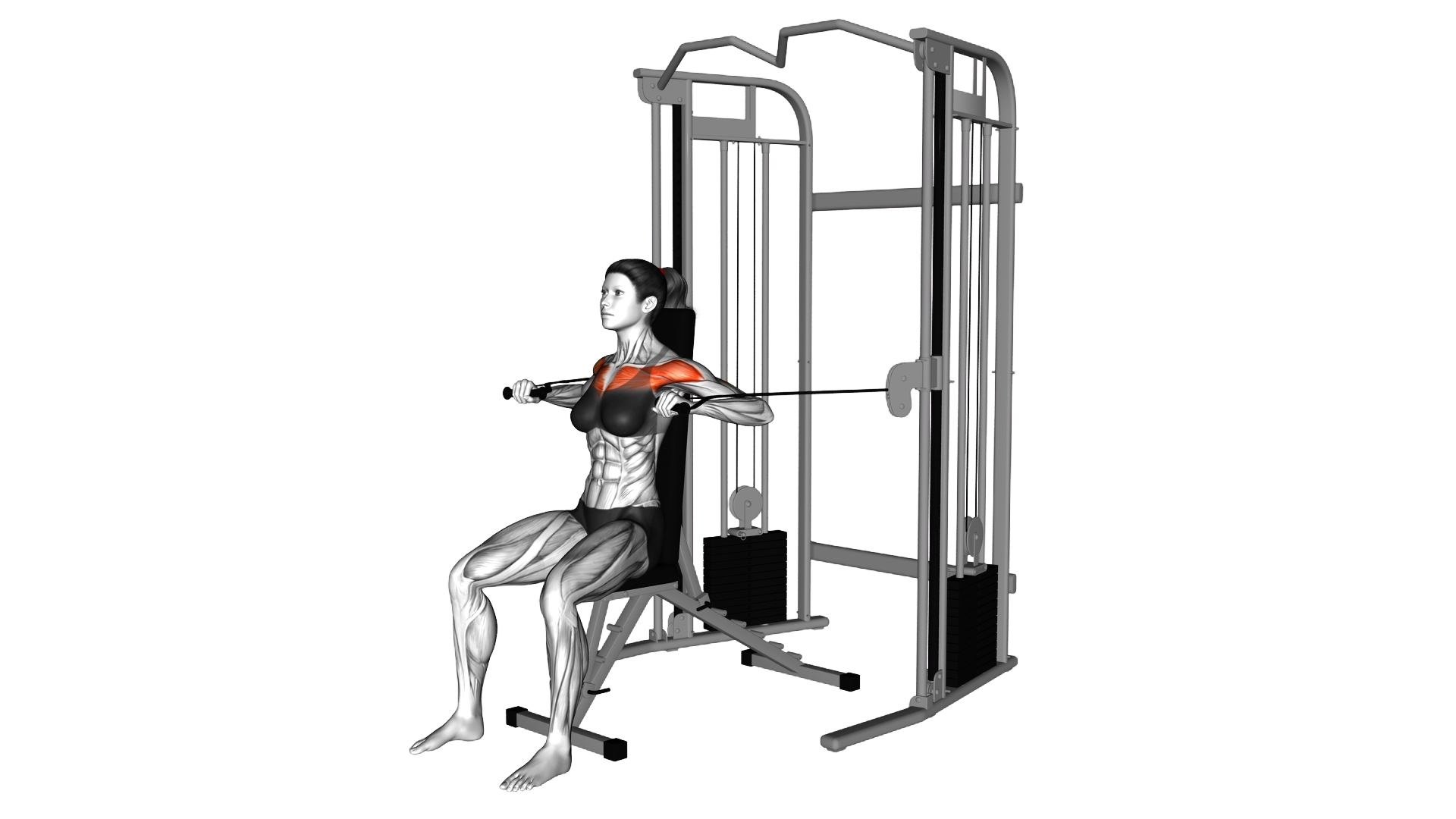 Cable Seated Chest Press exercise demonstration