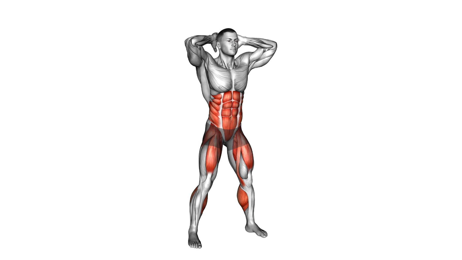 High Knee Squat exercise demonstration