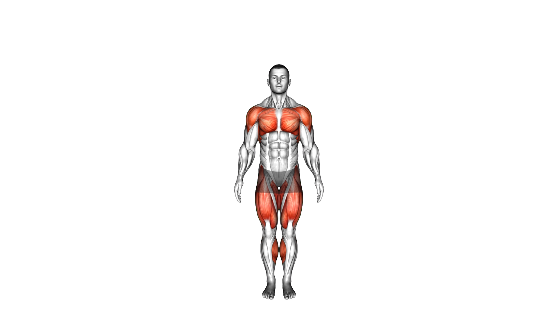 Plyo Jack exercise demonstration