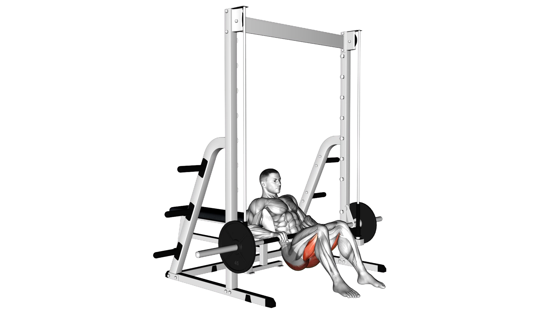 Smith Hip Thrust exercise demonstration