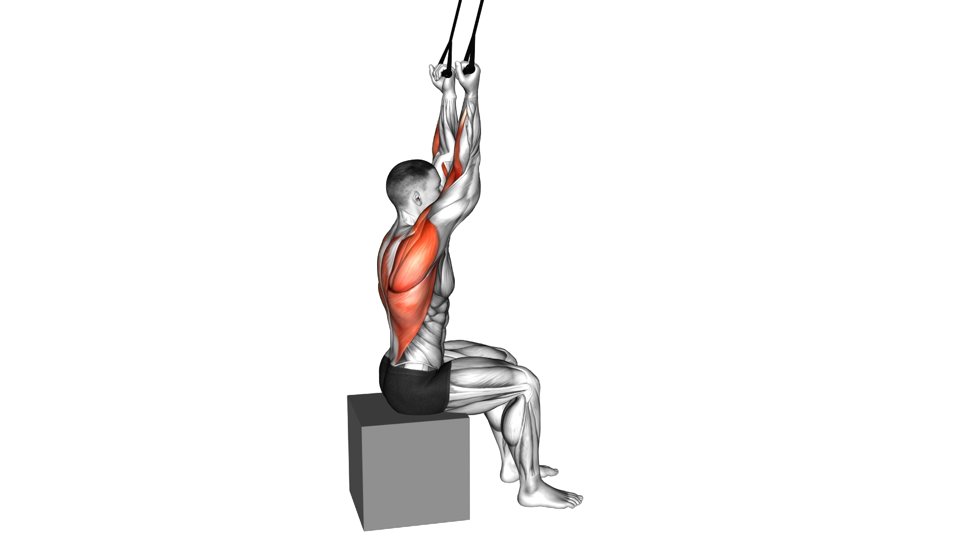 Banded Back Underhand Pulldown exercise demonstration