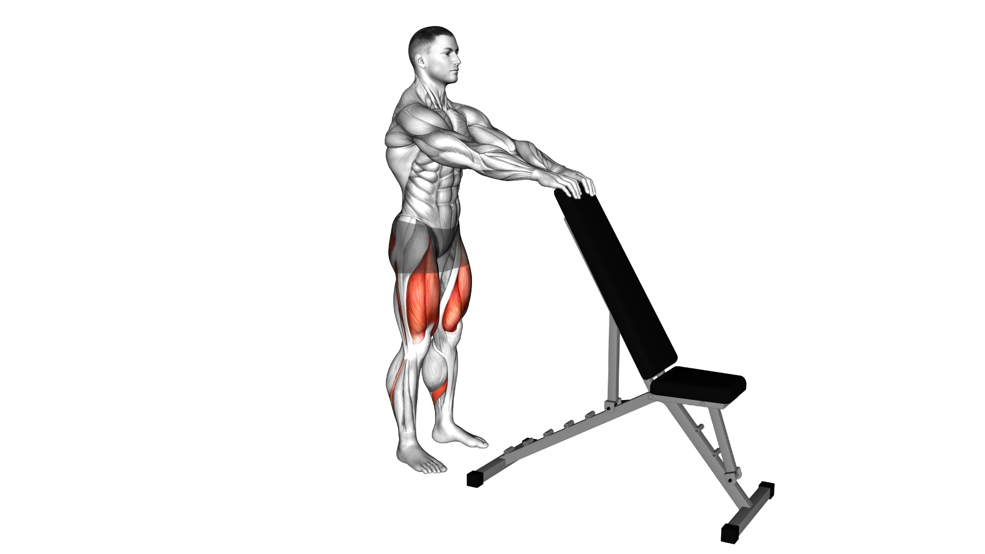 Potty Squat with Support exercise demonstration