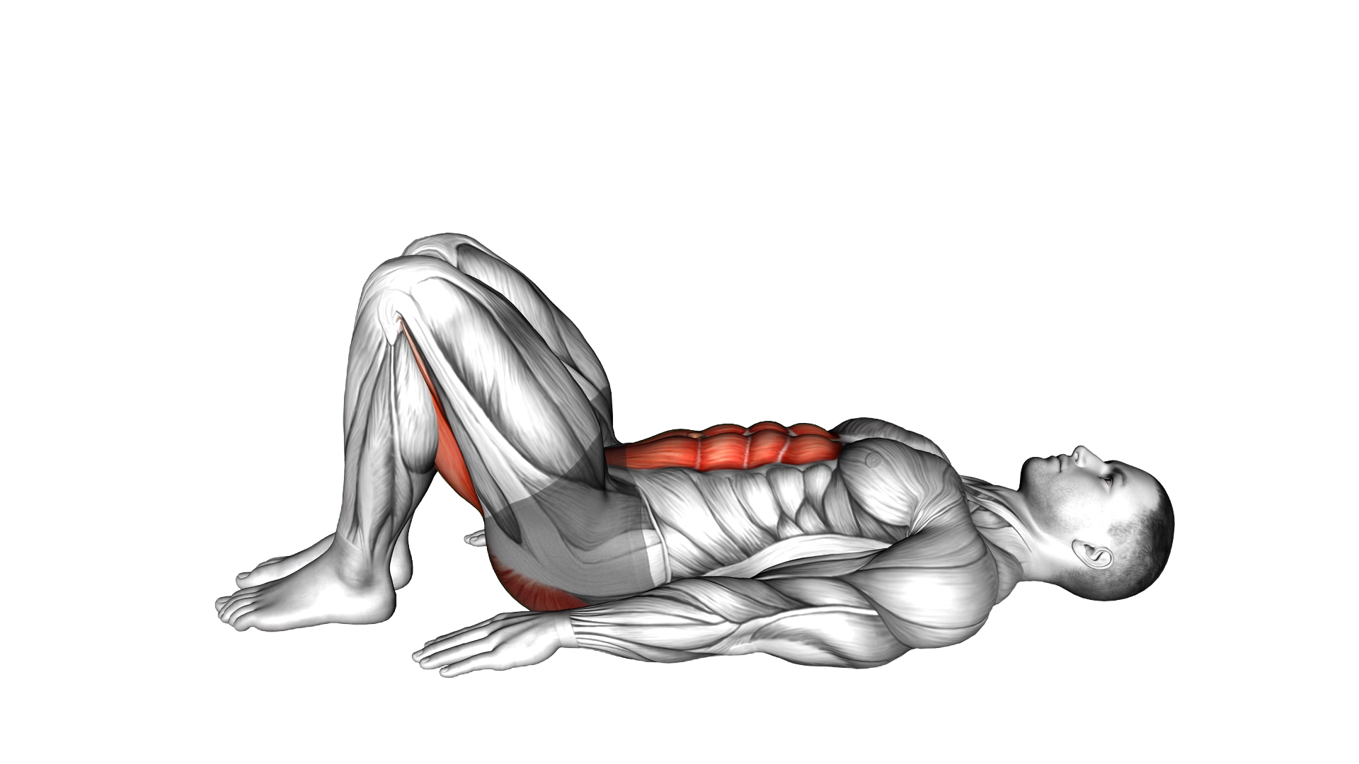 Pelvic Tilt exercise demonstration