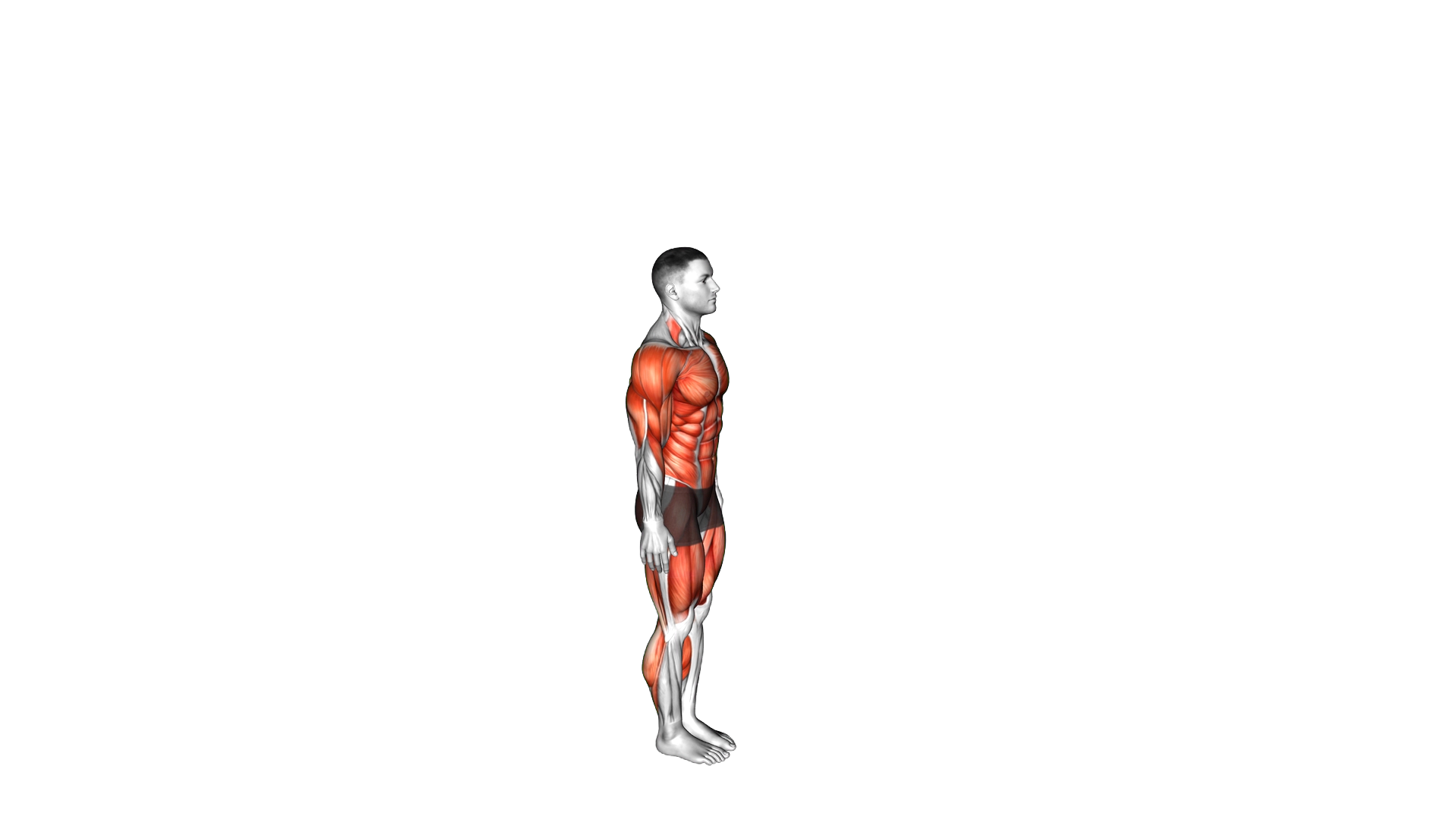 Side Kick Burpee exercise demonstration