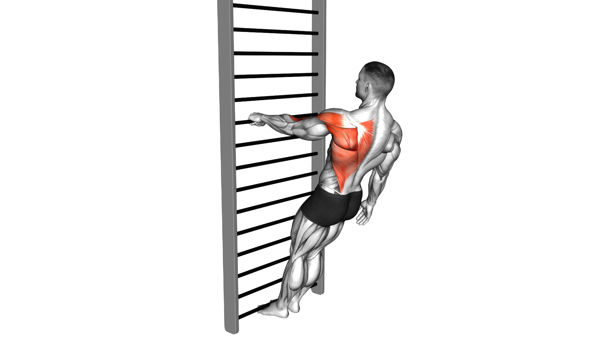 Bodyweight Standing Close grip One Arm Row exercise thumbnail