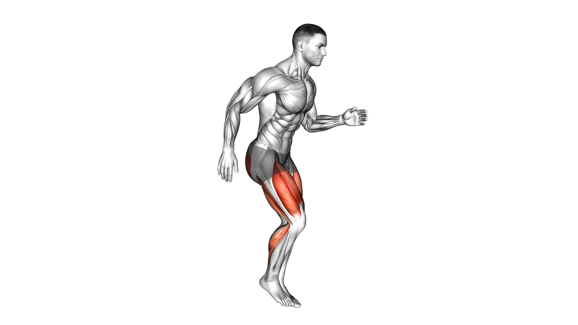 Quick Feet Run exercise demonstration