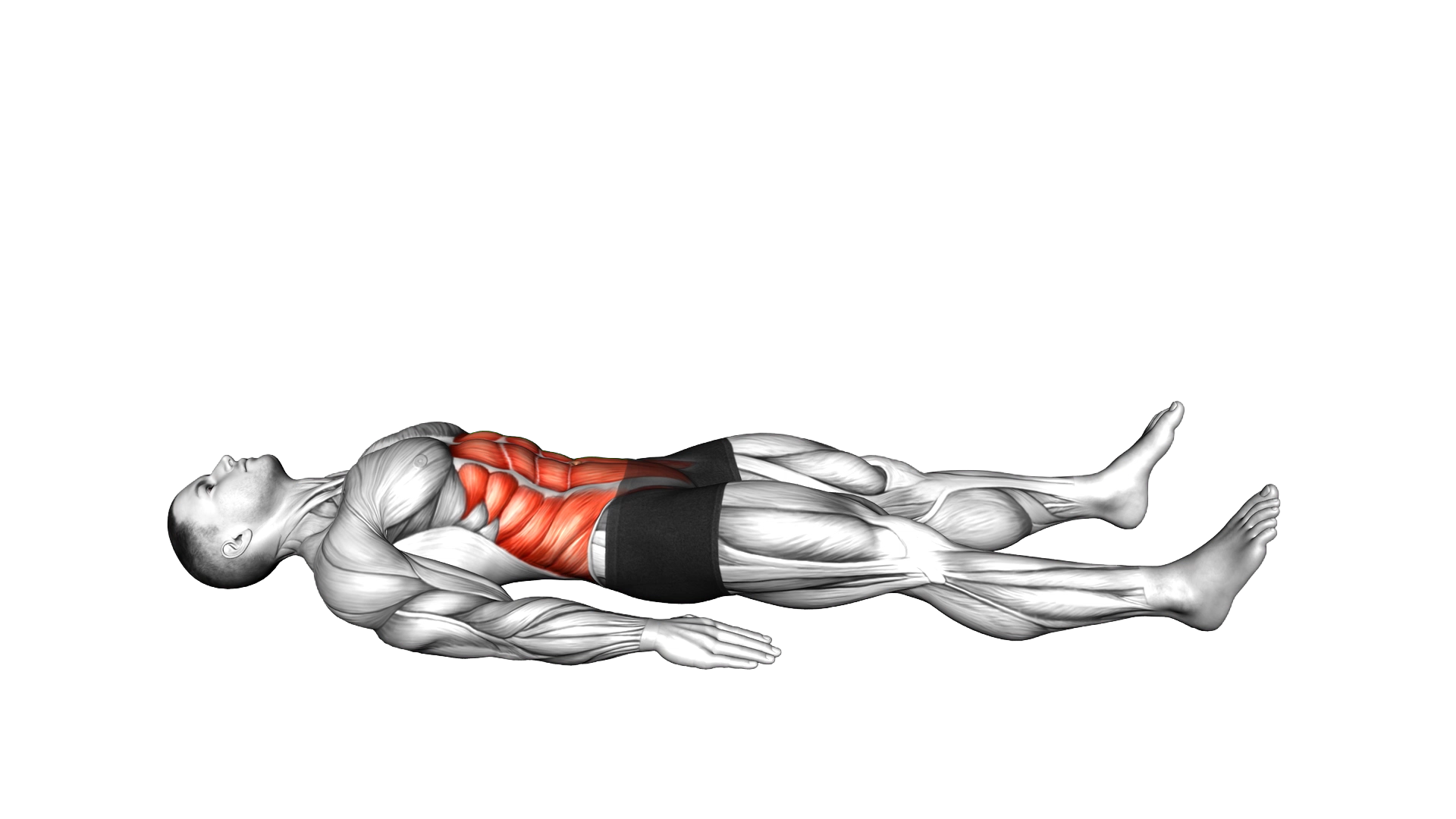 Quarter Sit up exercise demonstration