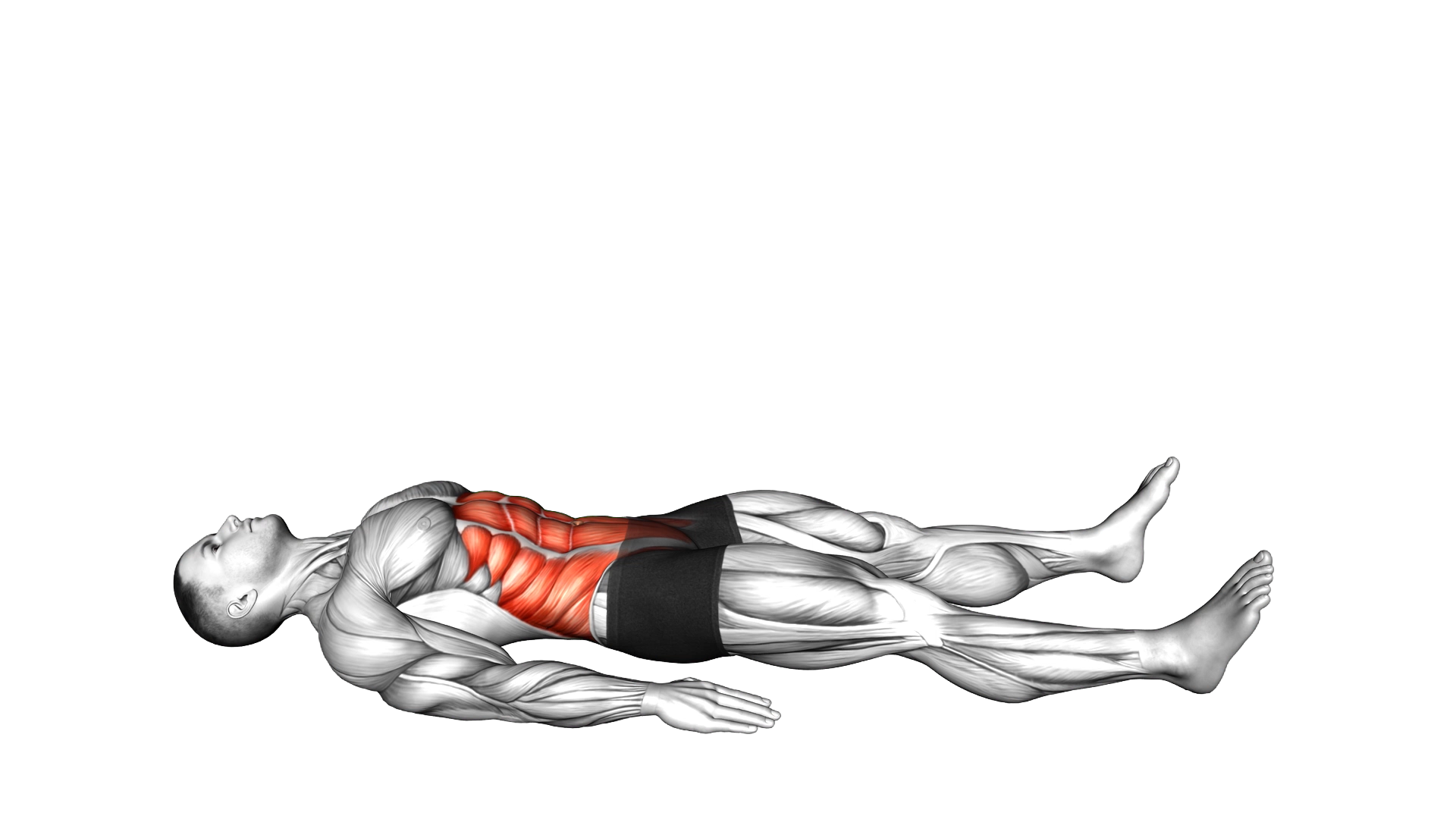 Half Sit up exercise demonstration