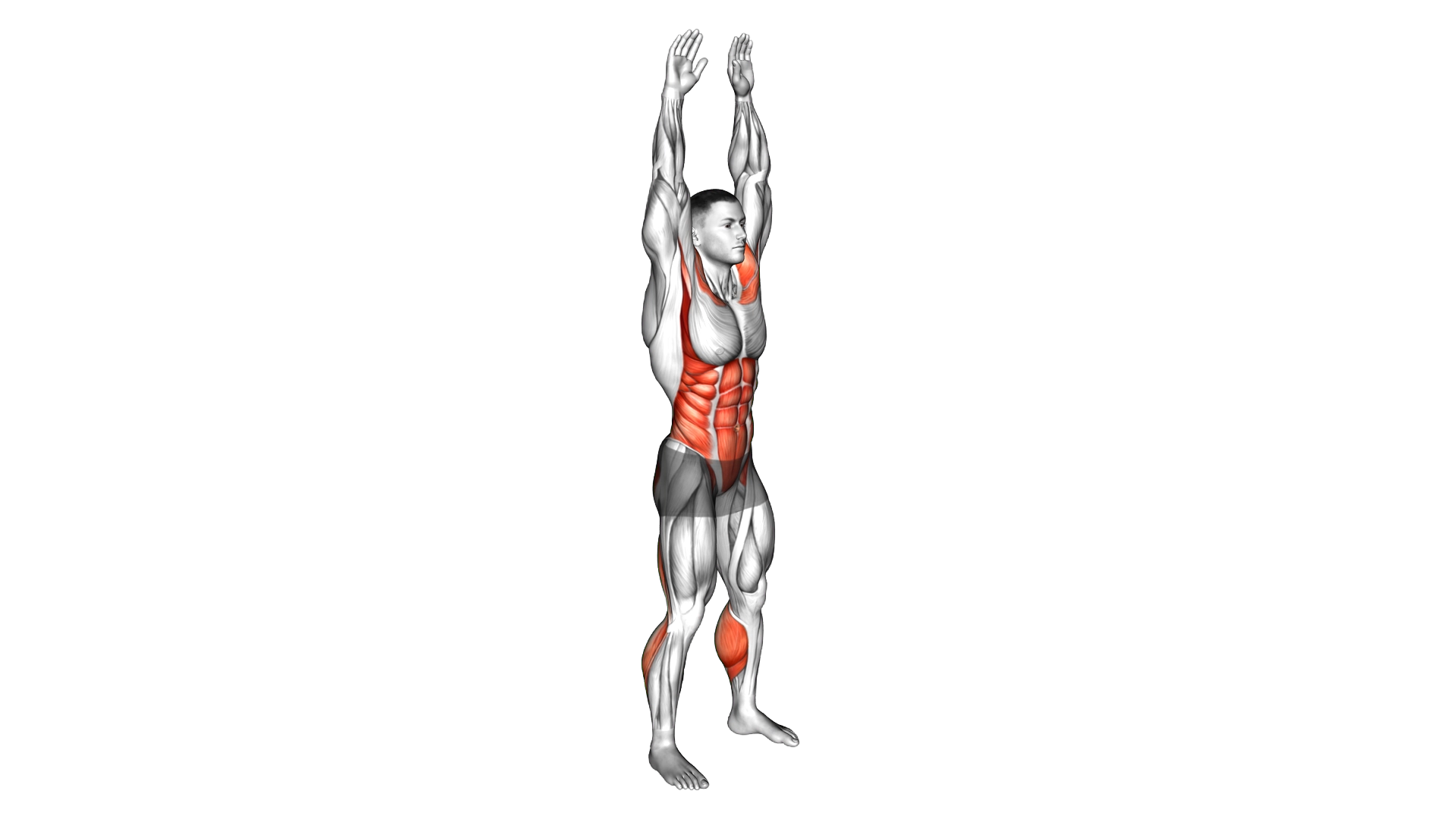 Arms Apart Circular Toe Touch exercise demonstration