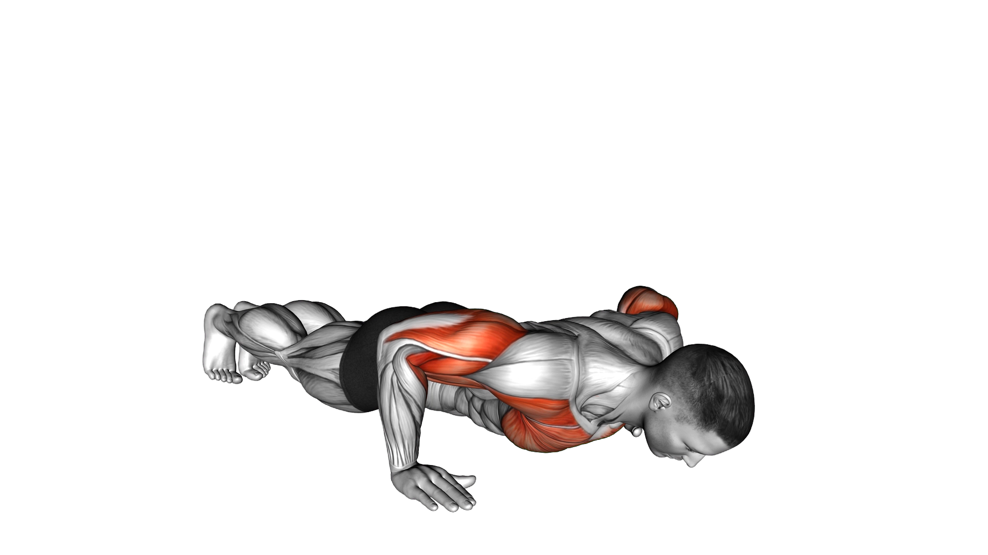 Chest Tap Push up exercise demonstration