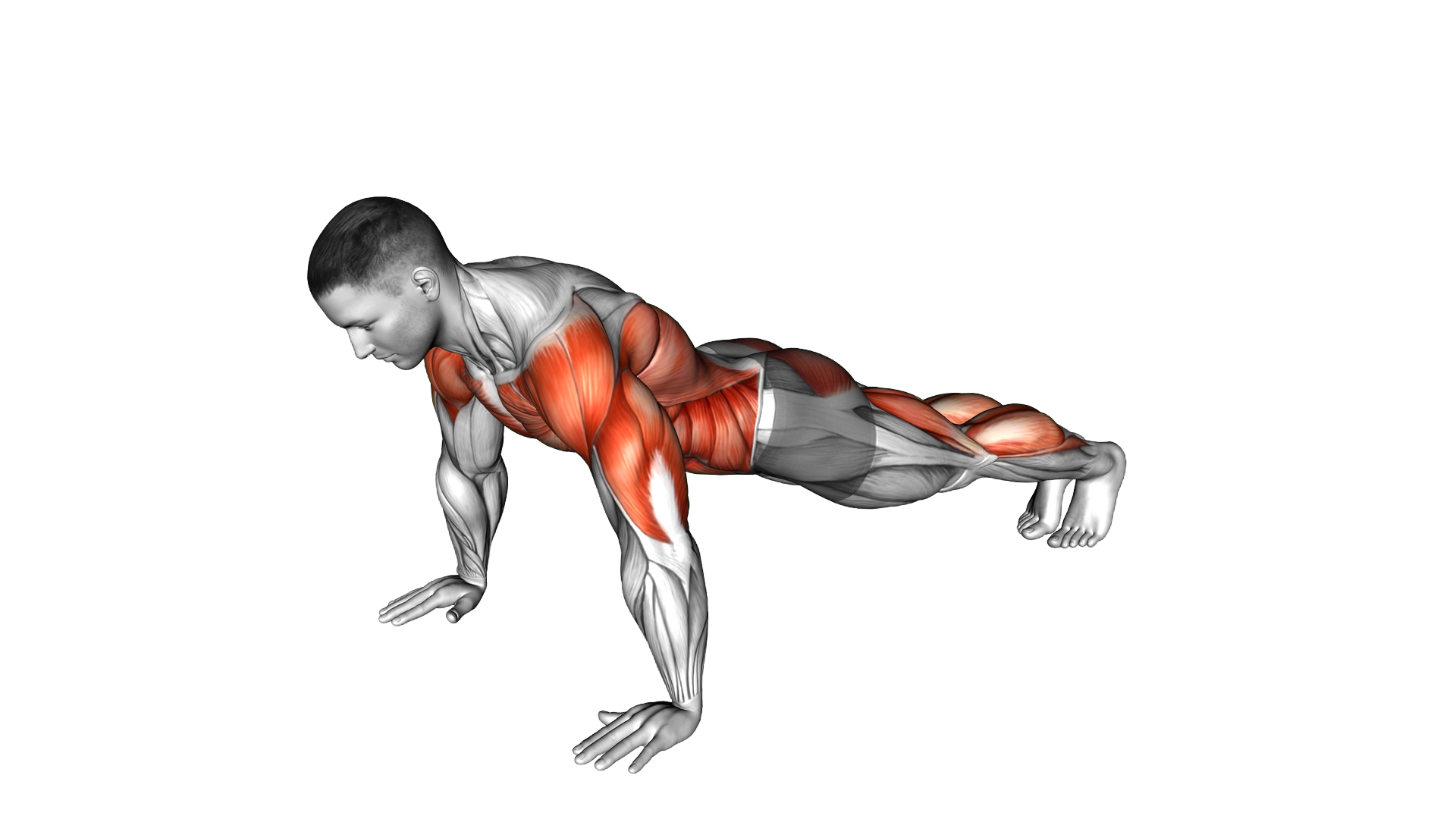 Modified Hindu Push up exercise demonstration