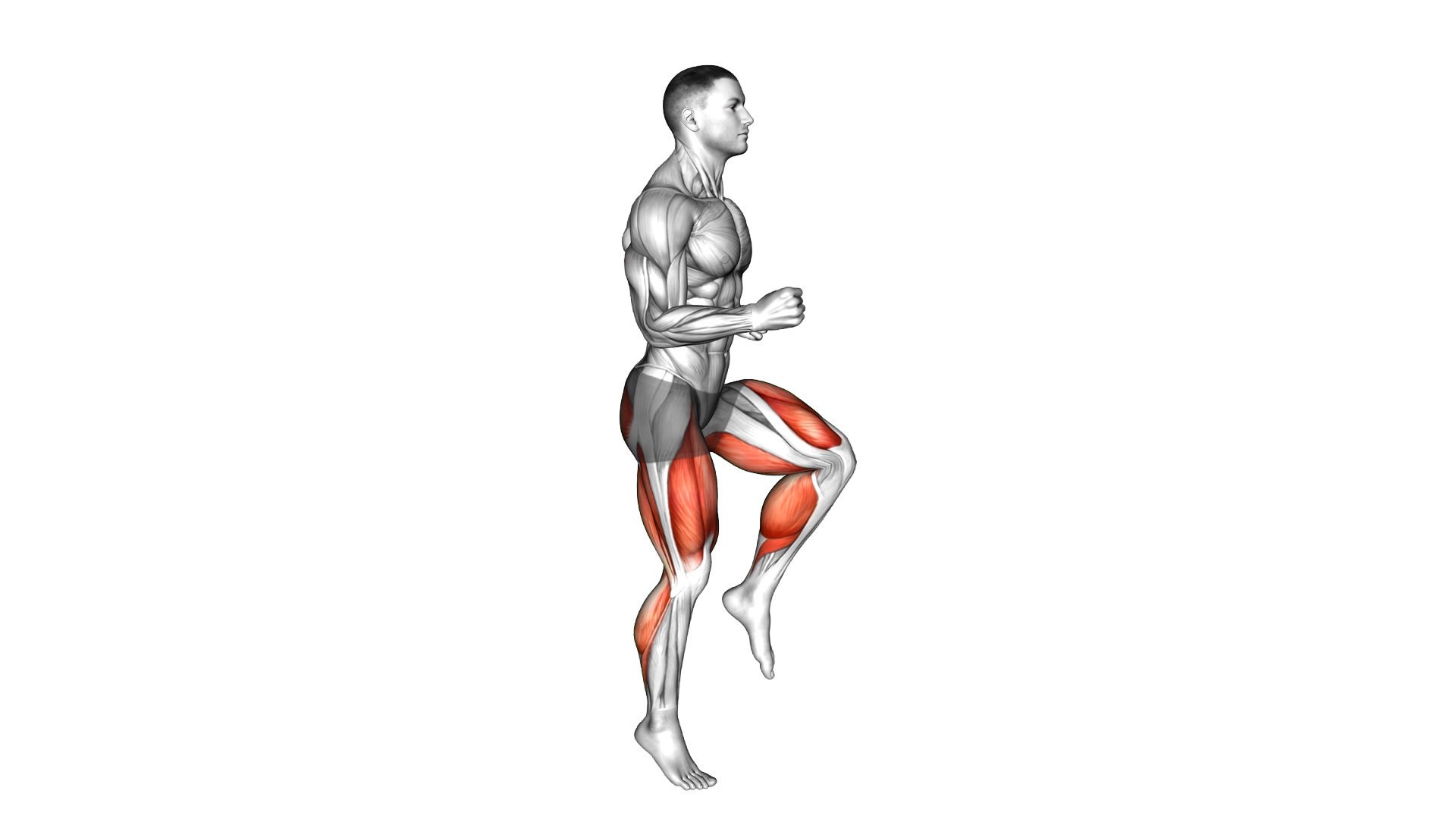 Half Knee Bends exercise demonstration
