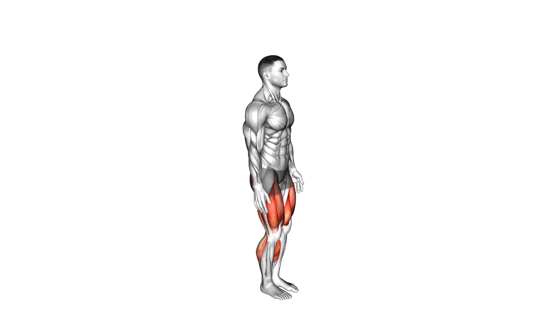 Semi Squat Jump exercise demonstration