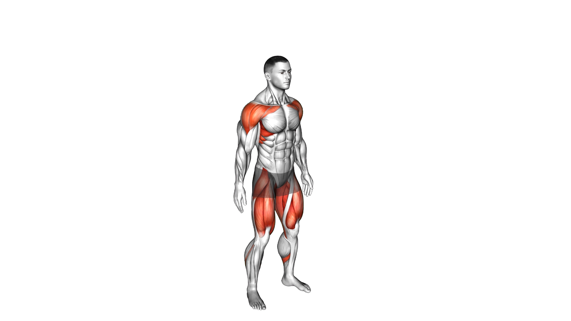 Star Jump exercise demonstration