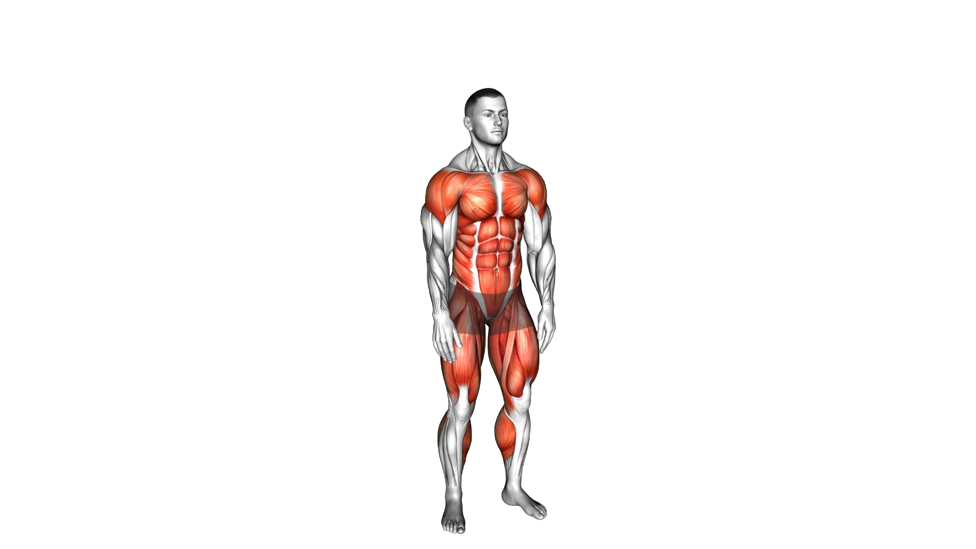 Jack Jump exercise demonstration