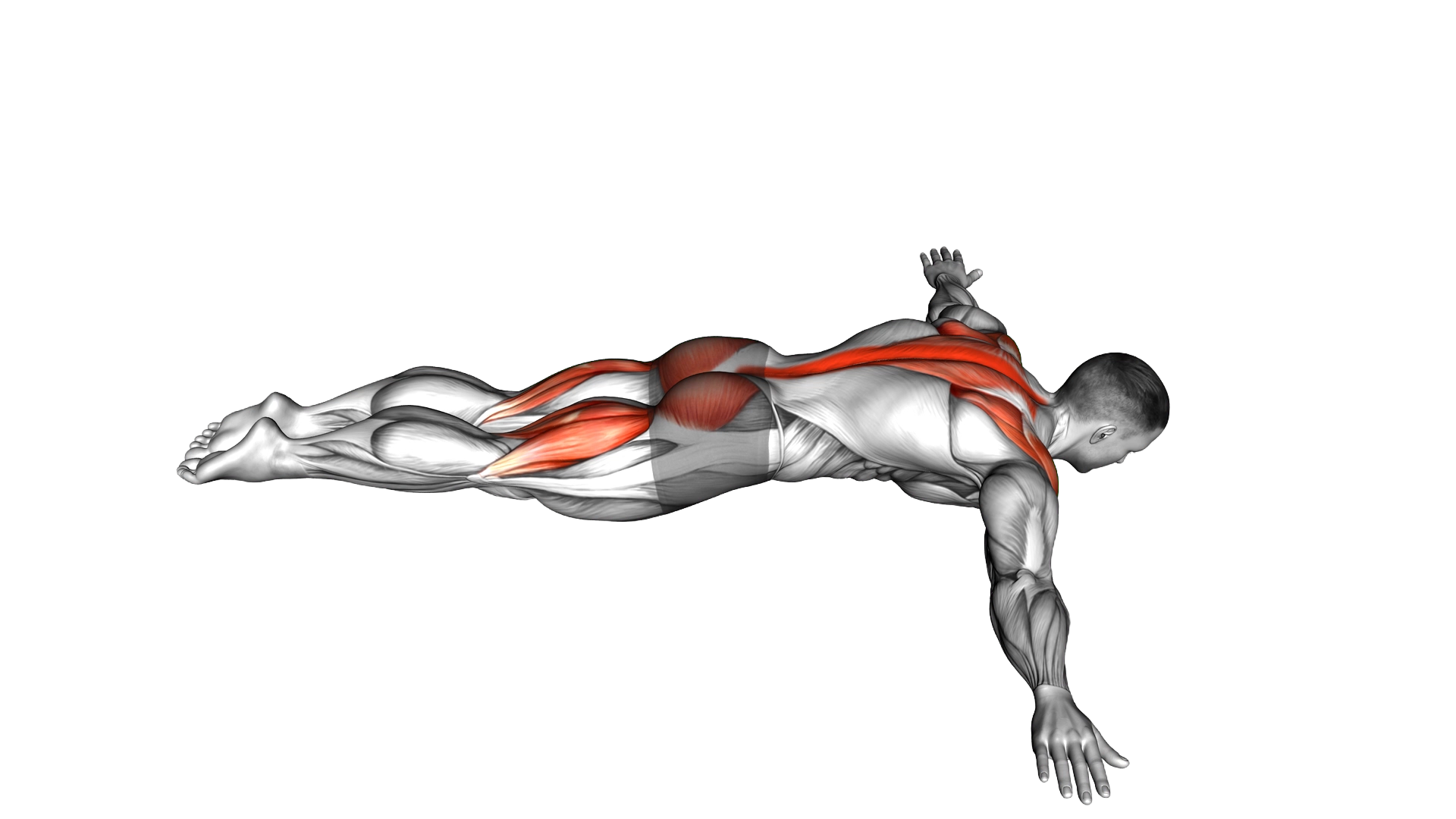 Floor T Raise exercise demonstration