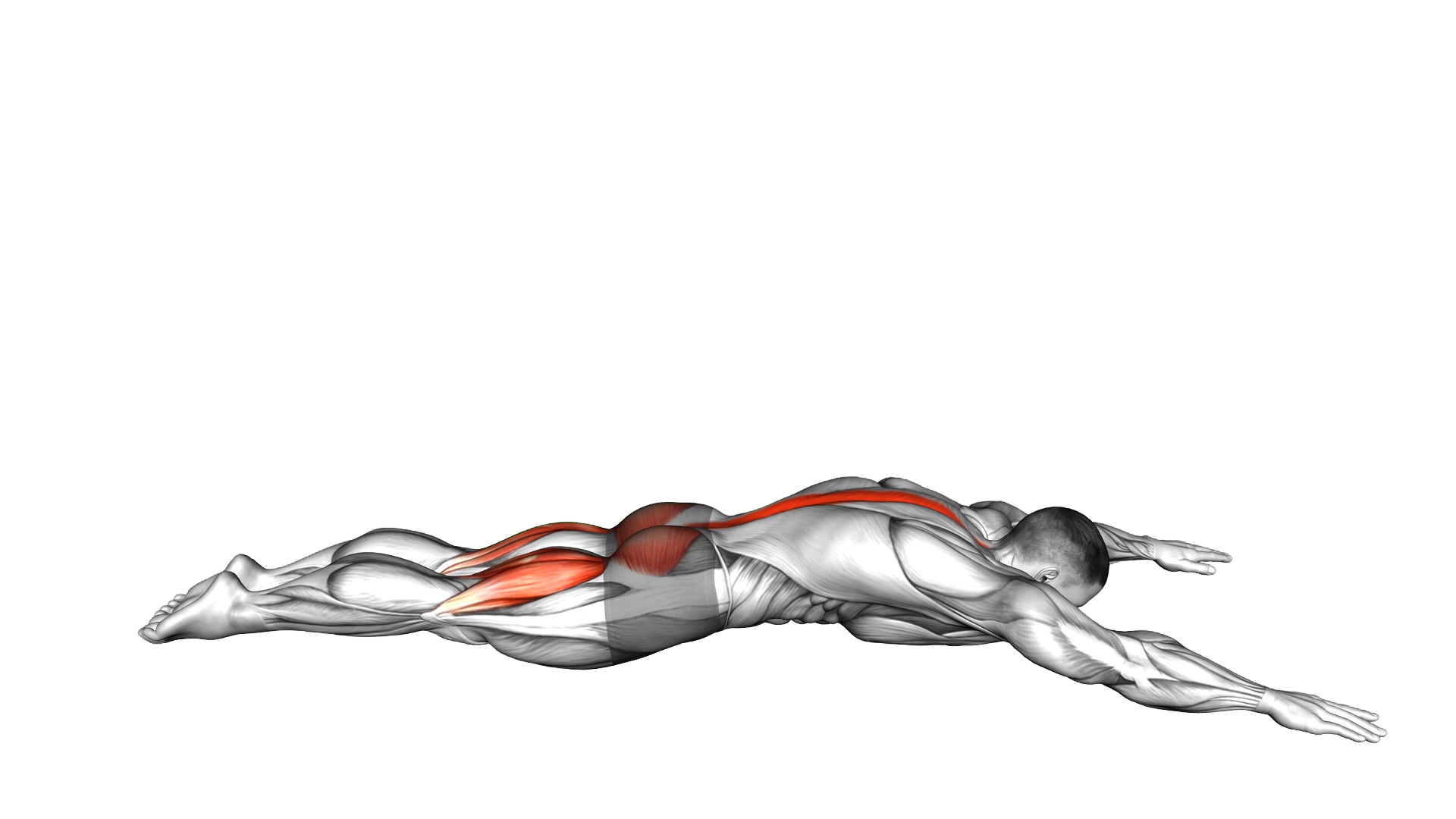 Lying Back Extension exercise demonstration